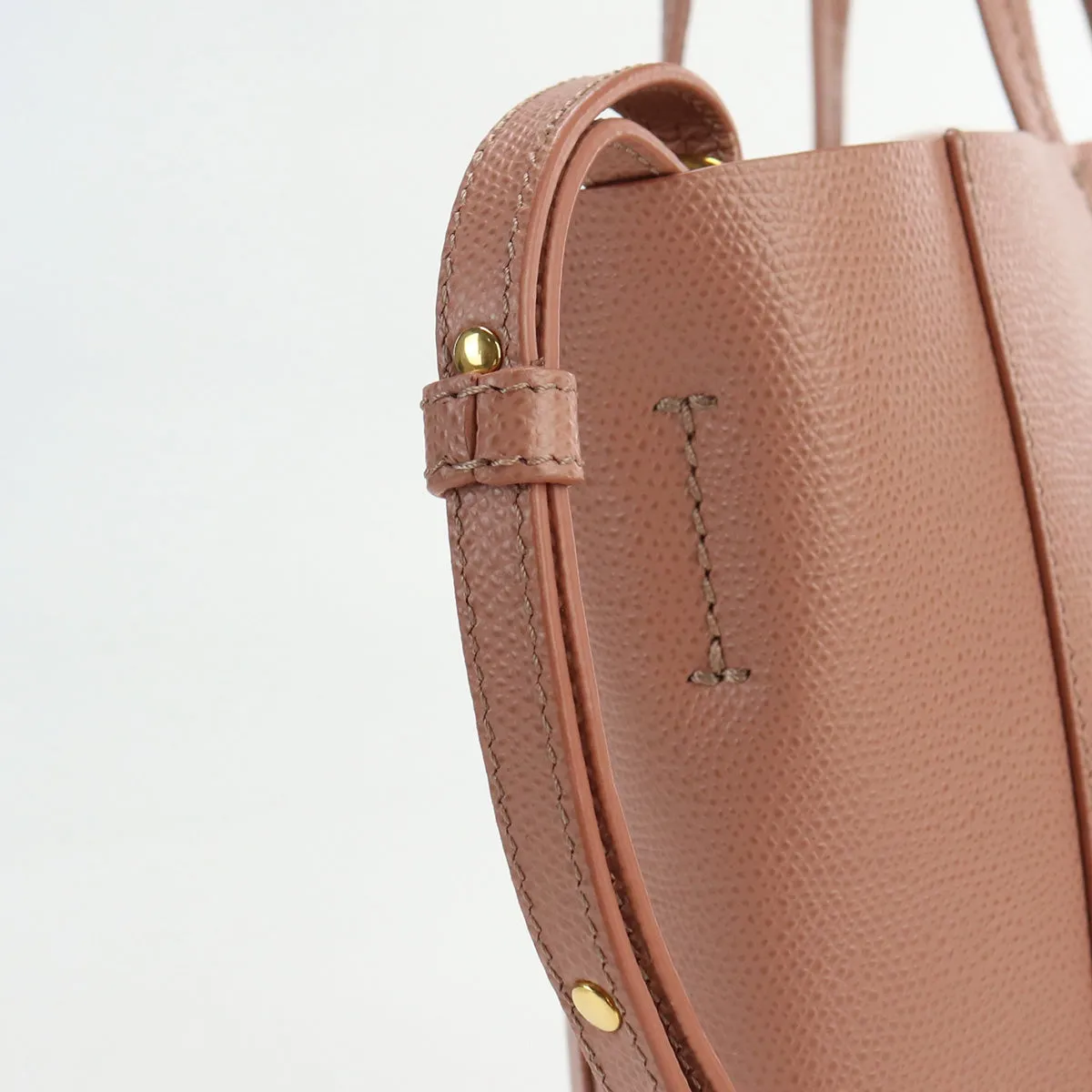 CELINE Vertical Hippo Small Tote Bag shoulder bag 2WAY leather Women color pink