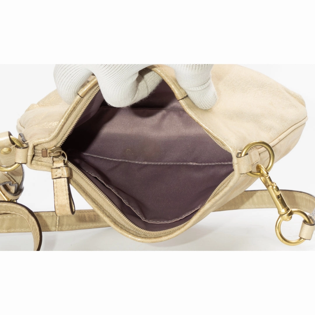 Coach Metallic Leather Crossbody Bag