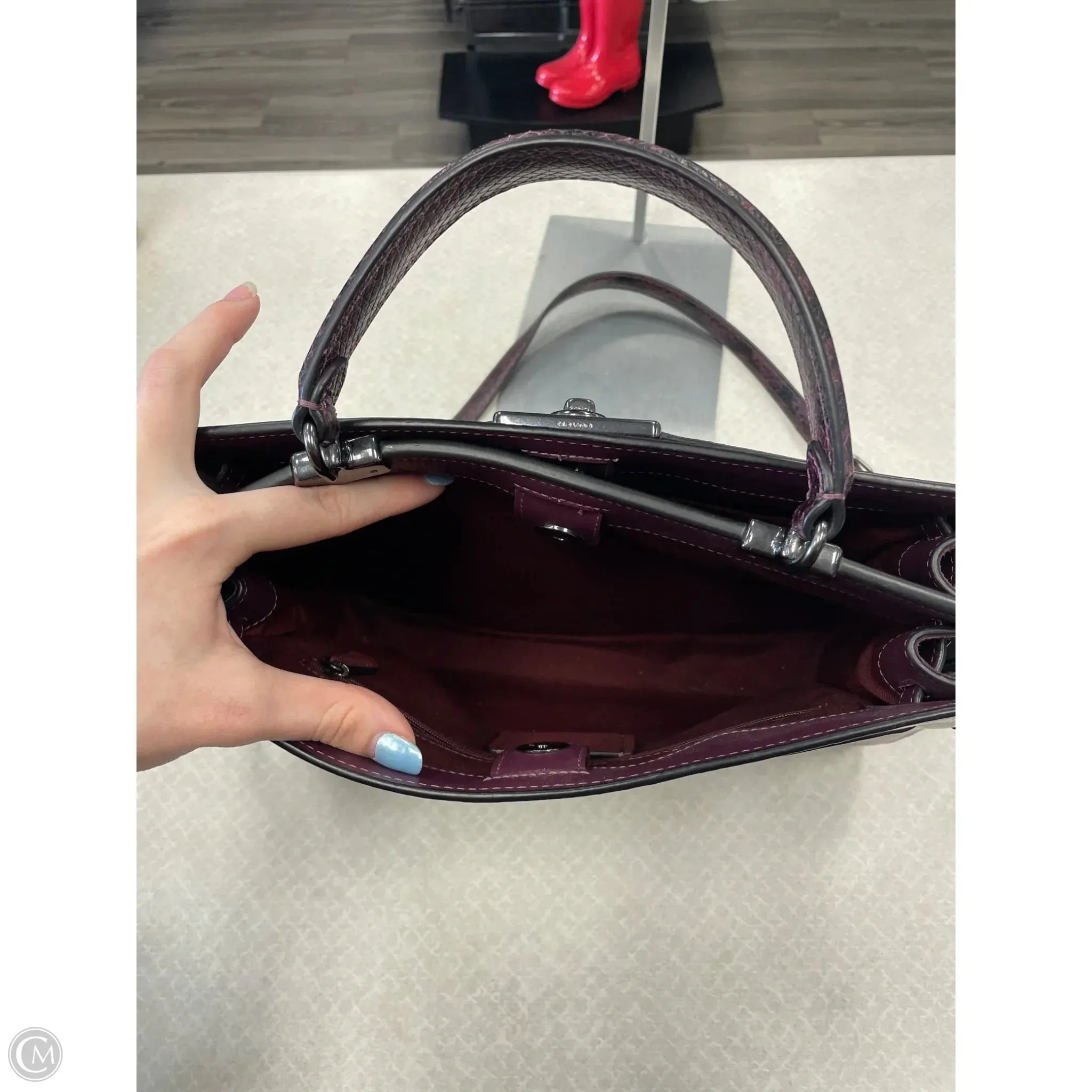 Crossbody Designer By Coach, Size: Large