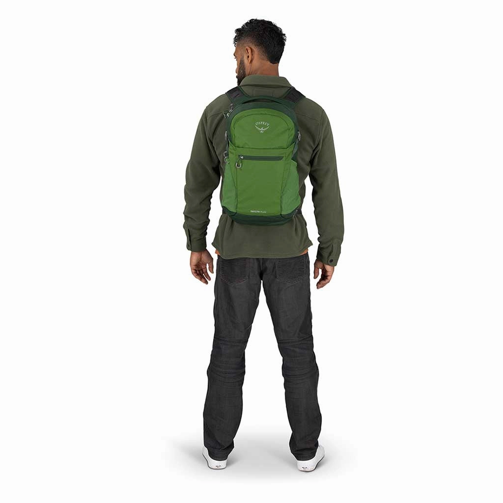 Daylite Plus