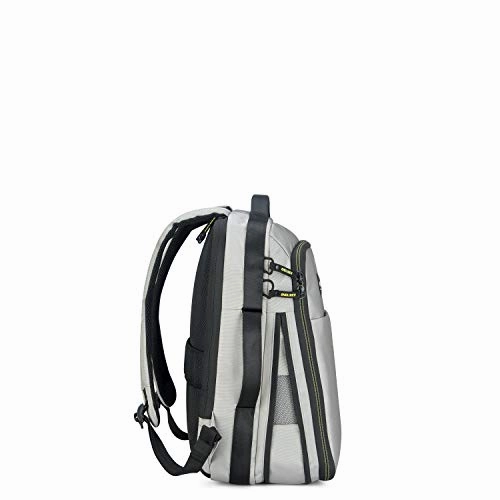 DELSEY Paris Daily's Two Compartment Laptop Backpack, Light Gray, 15.6 Inch Sleeve