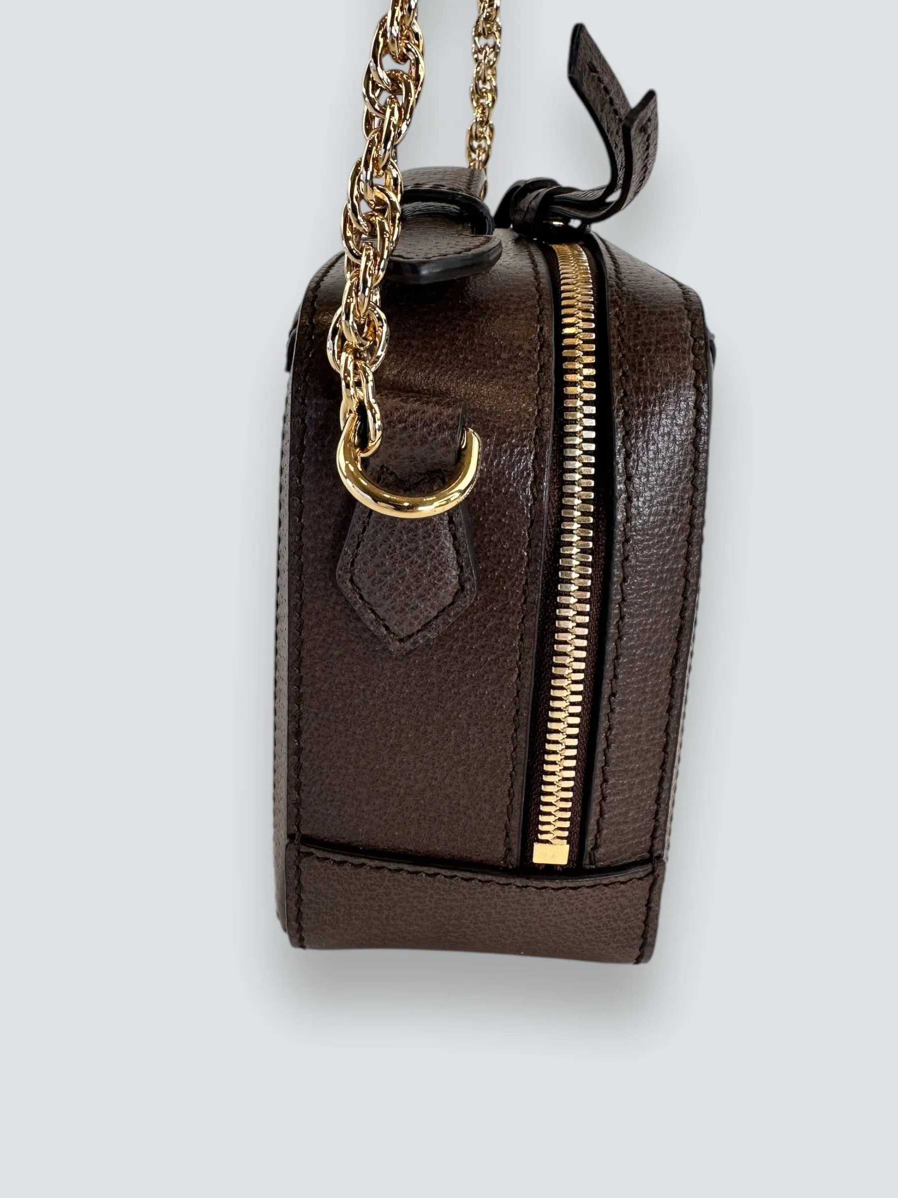 Gucci Monogram Canvas Ophidia GG Supreme Box Shoulder Bag