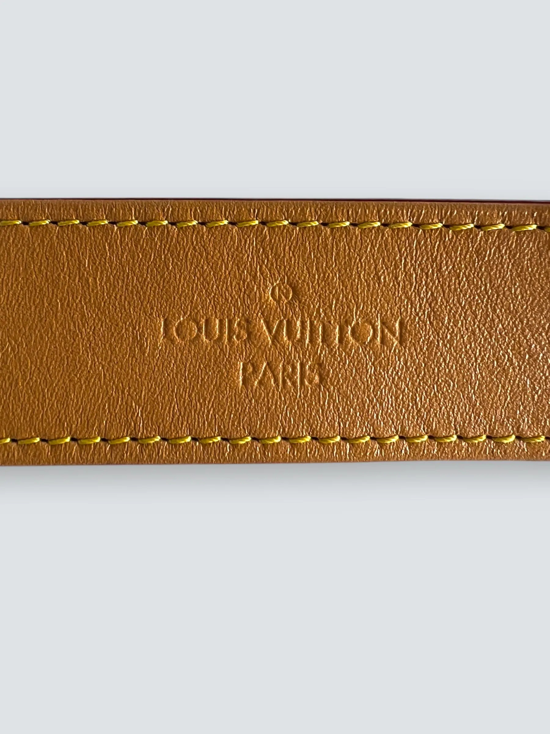 Louis Vuitton Monogram Canvas "Carry All" PM  Shoulder Bag