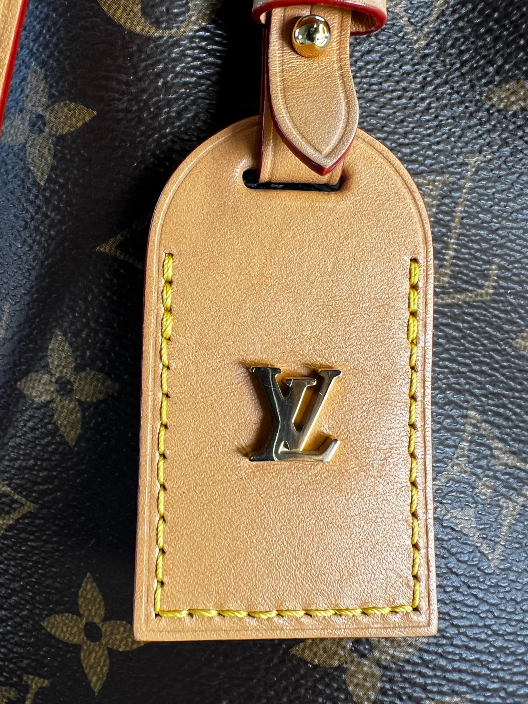 Louis Vuitton Monogram Canvas "Carry All" PM  Shoulder Bag