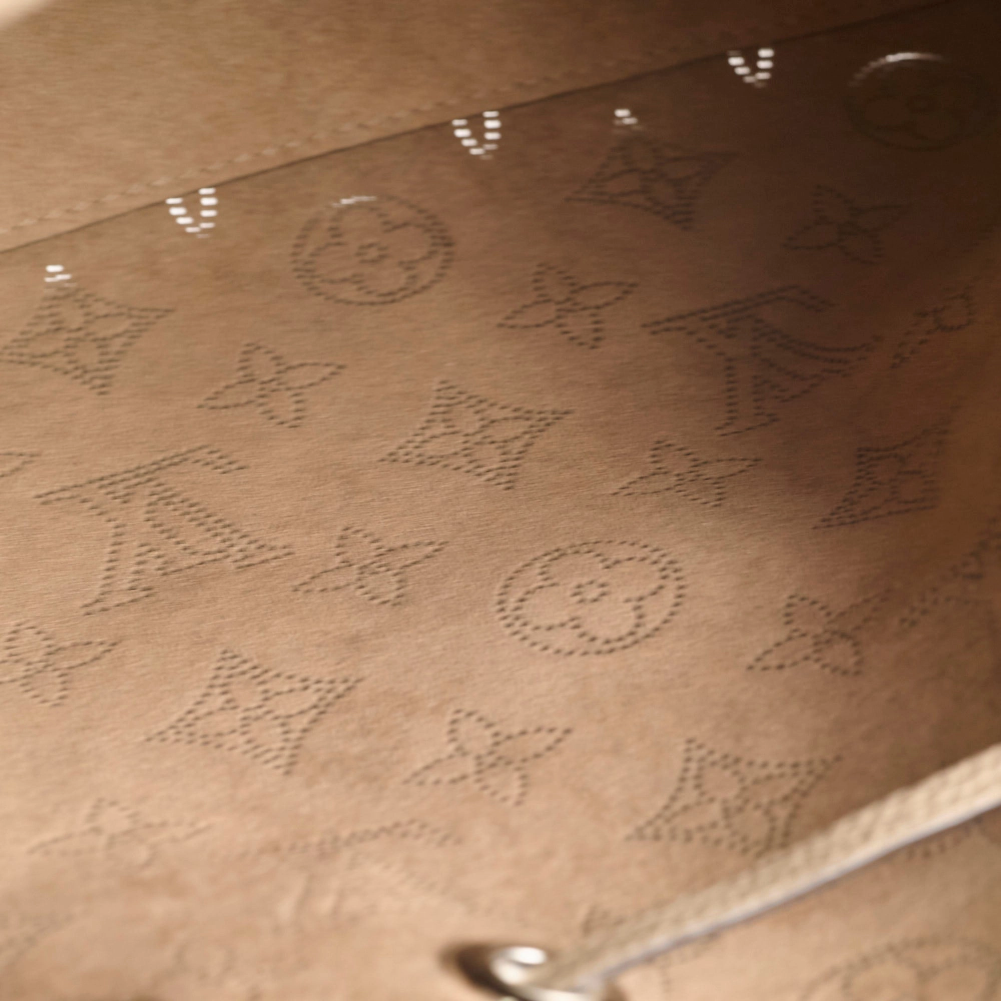 Louis Vuitton Bella Mahina Bucket Bag