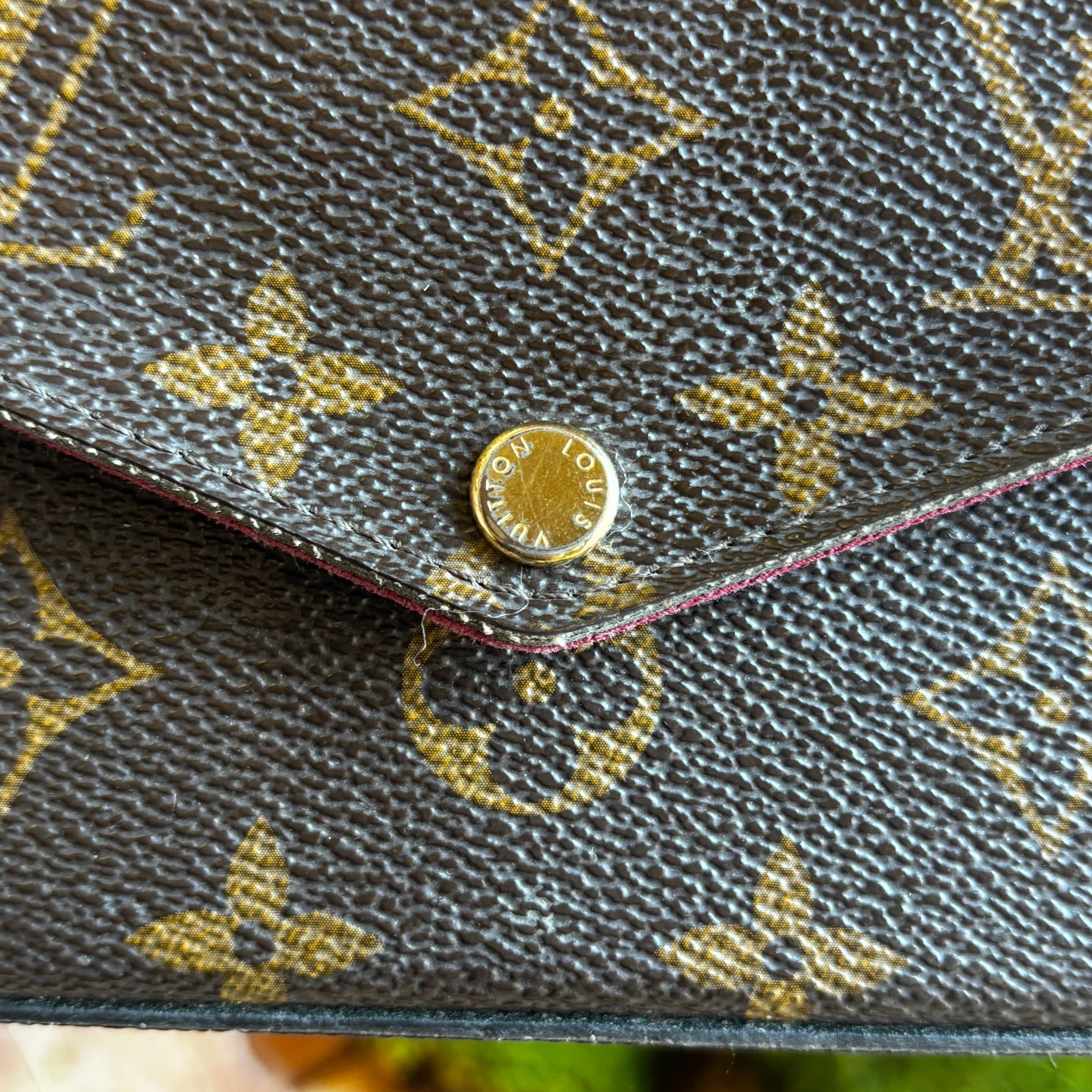 LOUIS VUITTON Pochette Felicie Monogram Canvas Crossbody Bag