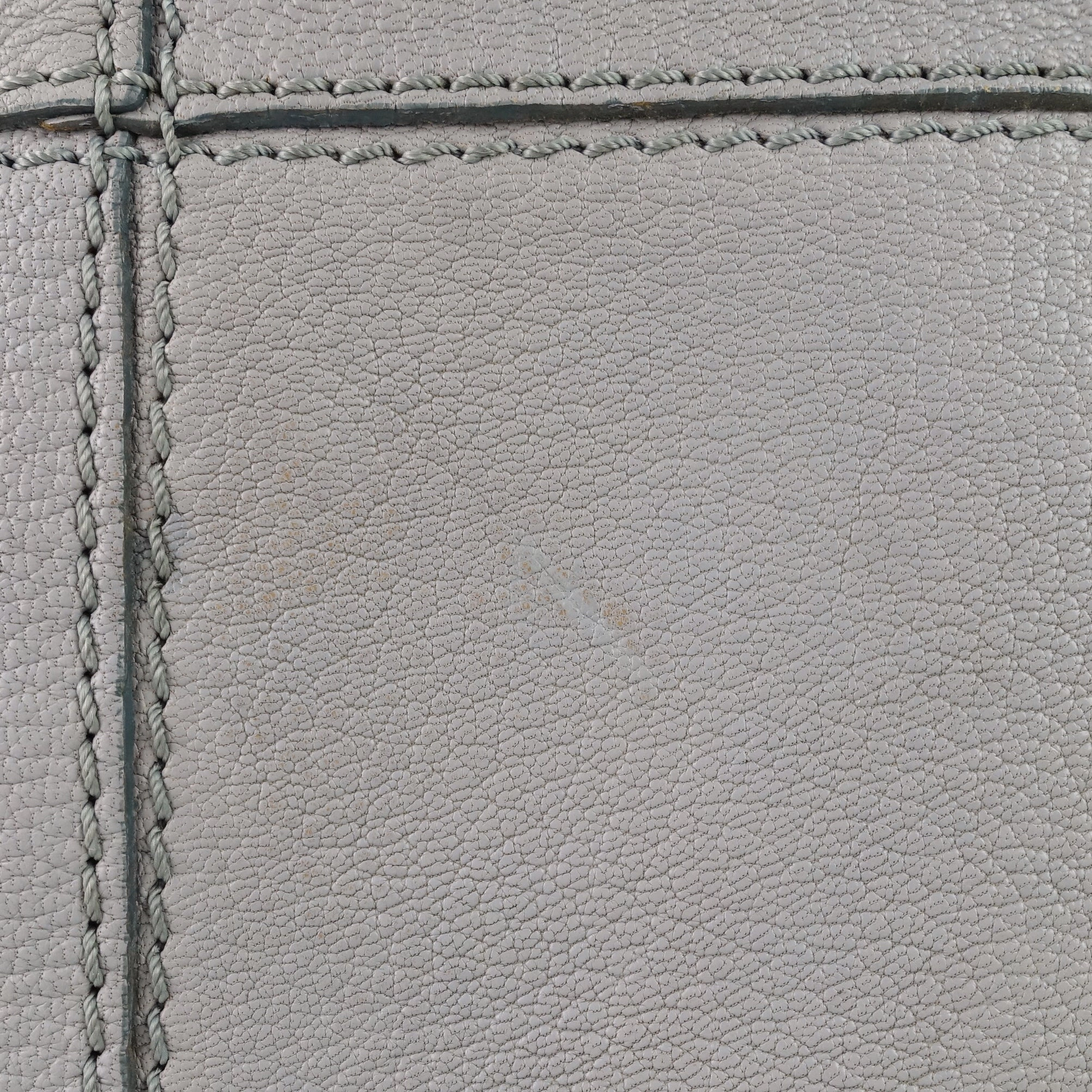 Nightingale Medium Leather Bag