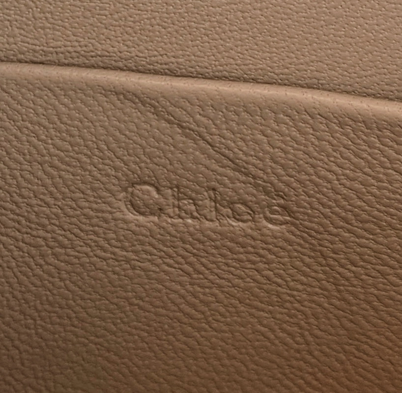 Nile Minaudiere Calf Leather Bag