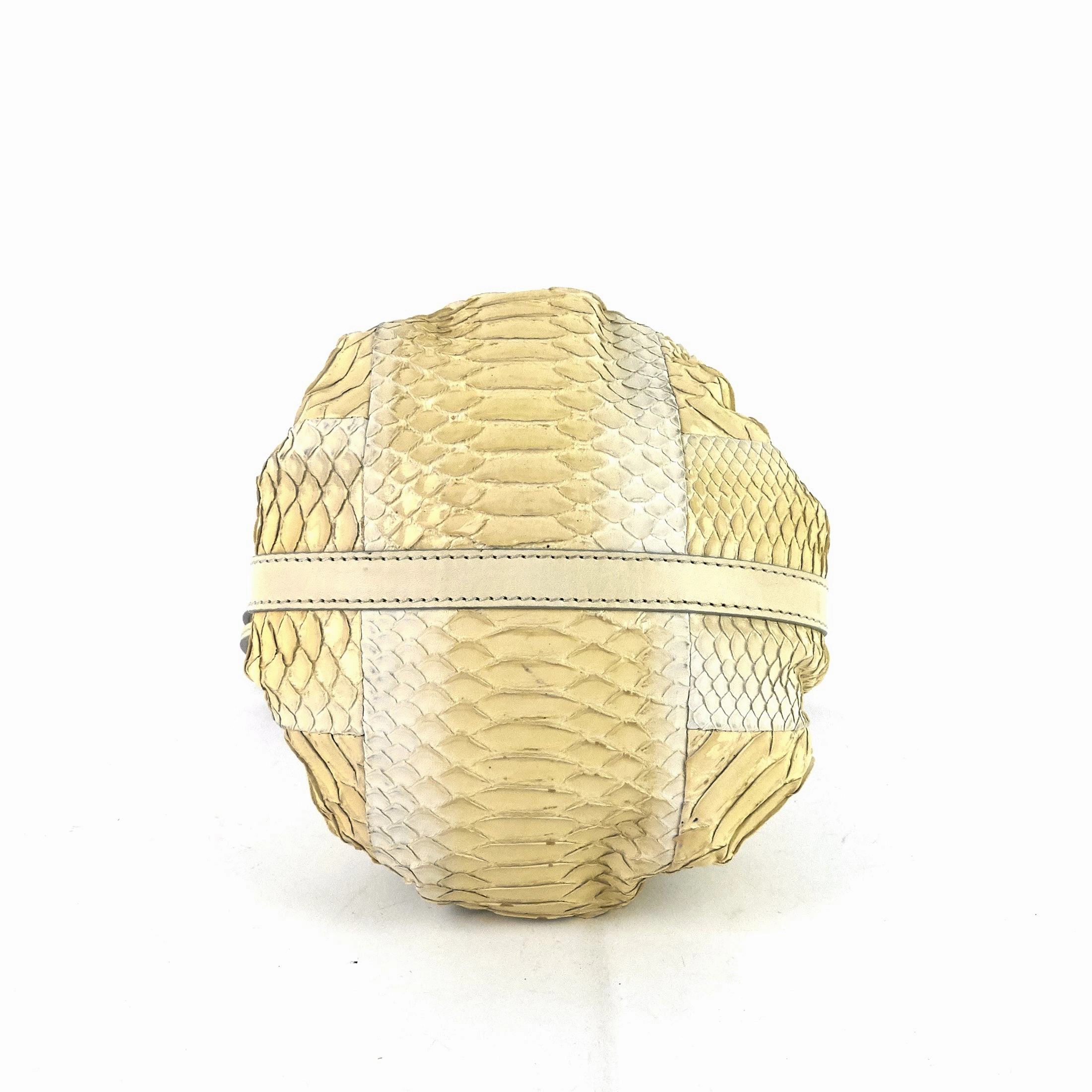 Pumpkin Small Python Leather Bucket Bag