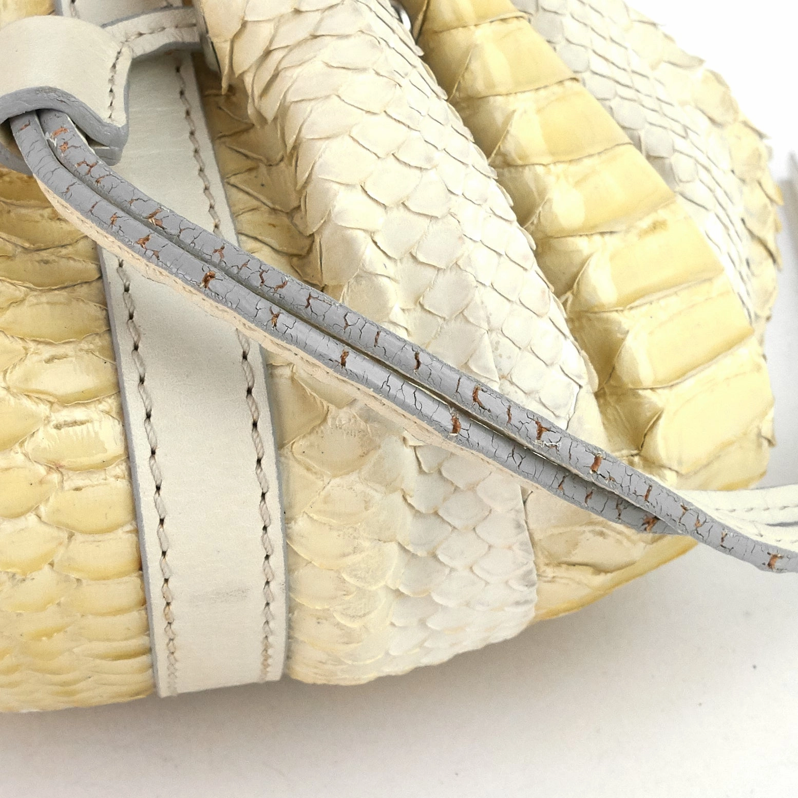 Pumpkin Small Python Leather Bucket Bag
