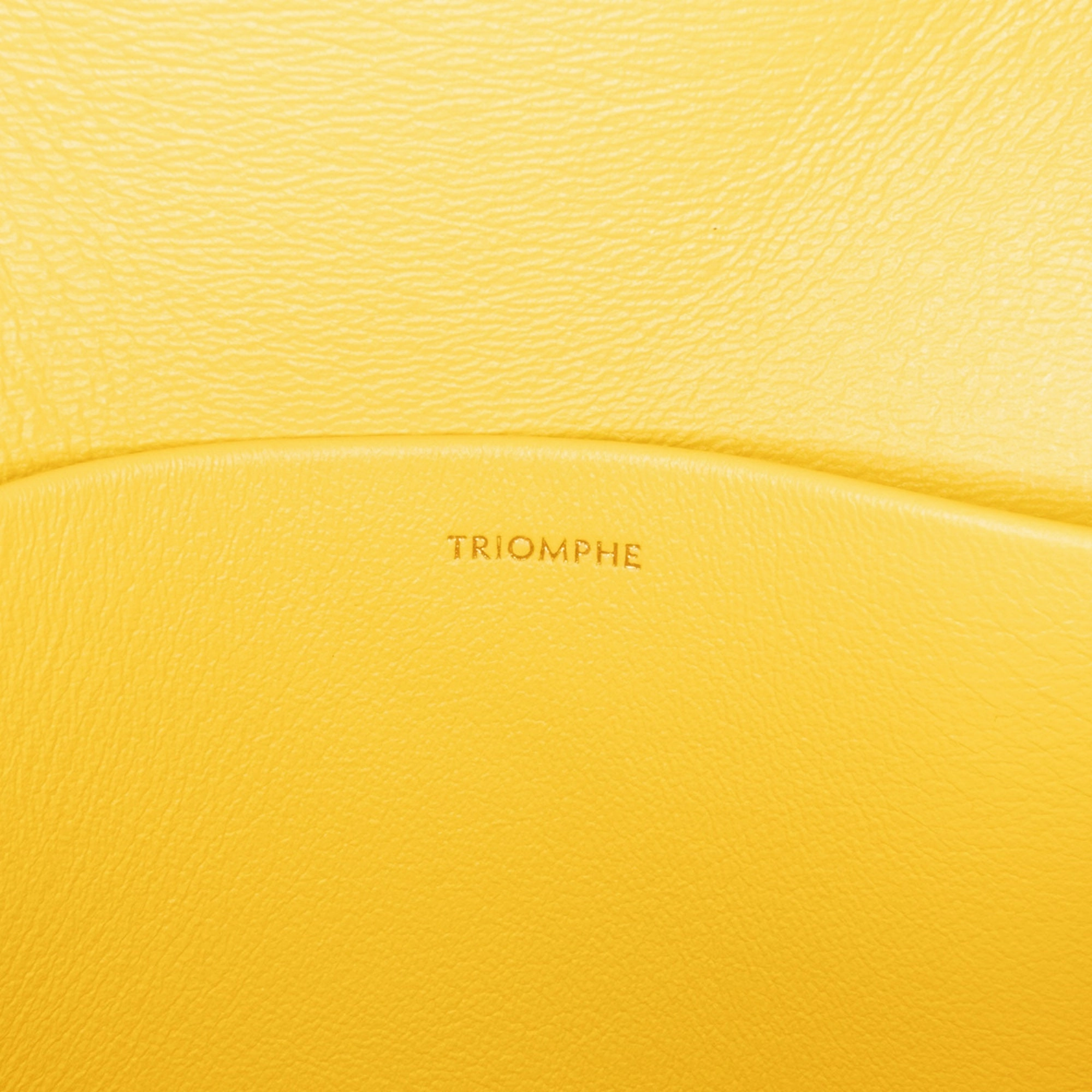 Teen Shiny Calfskin Triomphe Crossbody