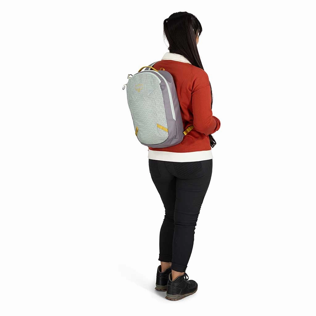 Transporter Sling