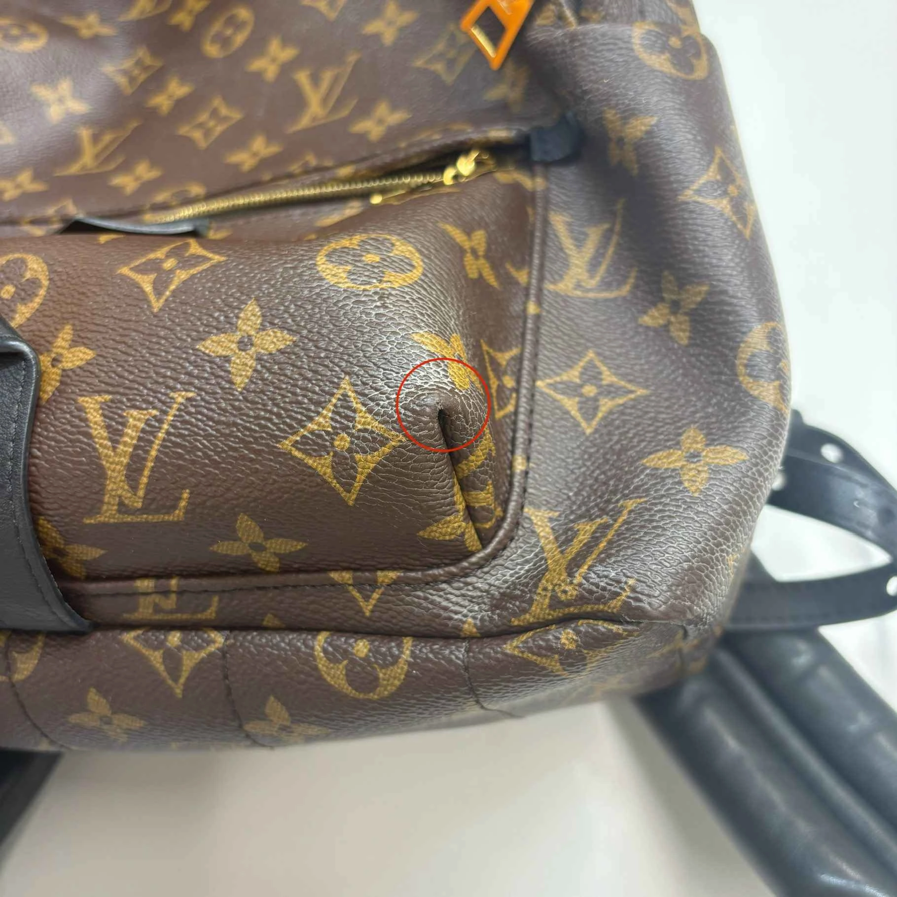 Women's Monogram Palm Springs Mm Backpack Brown